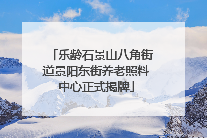 乐龄石景山八角街道景阳东街养老照料中心正式揭牌