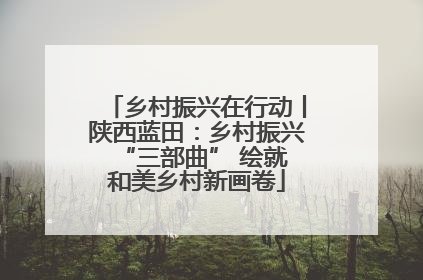 乡村振兴在行动丨陕西蓝田：乡村振兴 “三部曲” 绘就和美乡村新画卷