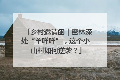 乡村邀请函｜密林深处“羊咩咩”，这个小山村如何逆袭？