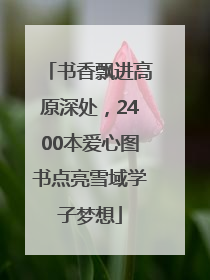 书香飘进高原深处，2400本爱心图书点亮雪域学子梦想