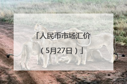 人民币市场汇价（5月27日）