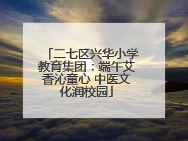 二七区兴华小学教育集团：端午艾香沁童心 中医文化润校园
