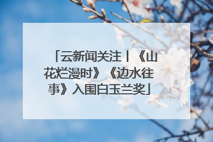 云新闻关注丨《山花烂漫时》《边水往事》入围白玉兰奖