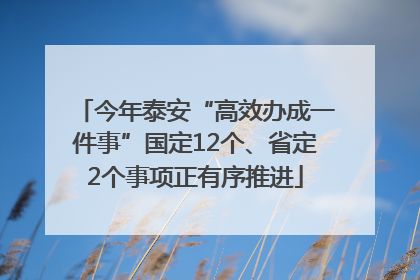 今年泰安“高效办成一件事”国定12个、省定2个事项正有序推进
