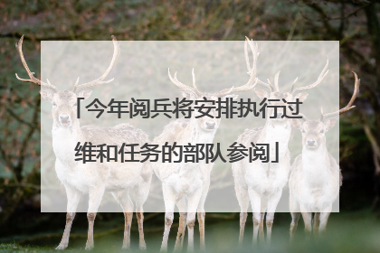 今年阅兵将安排执行过维和任务的部队参阅
