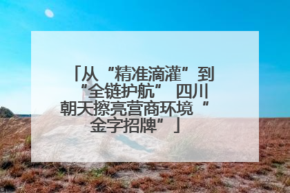 从“精准滴灌”到“全链护航” 四川朝天擦亮营商环境“金字招牌”