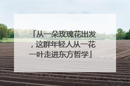 从一朵玫瑰花出发，这群年轻人从一花一叶走进东方哲学