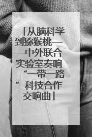 从脑科学到猕猴桃——中外联合实验室奏响“一带一路”科技合作交响曲