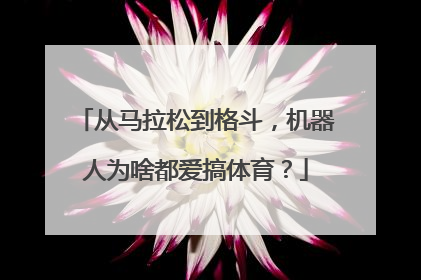 从马拉松到格斗，机器人为啥都爱搞体育？