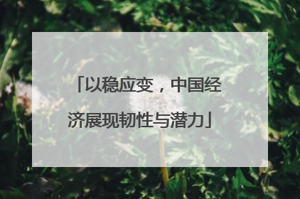 以稳应变，中国经济展现韧性与潜力