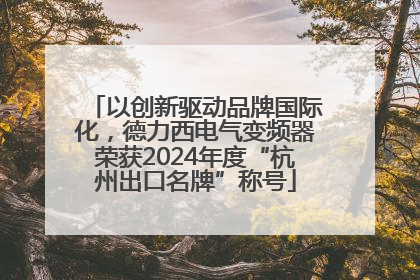 以创新驱动品牌国际化，德力西电气变频器荣获2024年度“杭州出口名牌”称号