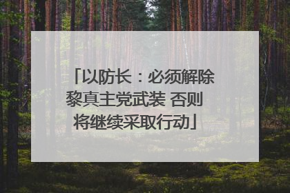 以防长：必须解除黎真主党武装 否则将继续采取行动