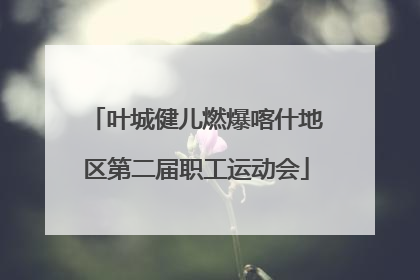 叶城健儿燃爆喀什地区第二届职工运动会