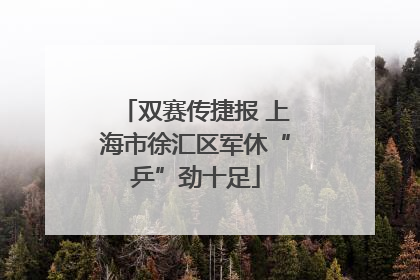 双赛传捷报 上海市徐汇区军休“乒”劲十足