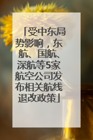 受中东局势影响，东航、国航、深航等5家航空公司发布相关航线退改政策