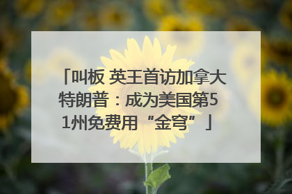 叫板 英王首访加拿大 特朗普：成为美国第51州免费用“金穹”