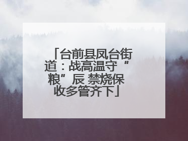 台前县凤台街道：战高温守“粮”辰 禁烧保收多管齐下