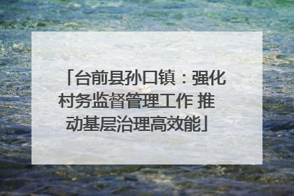 台前县孙口镇：强化村务监督管理工作 推动基层治理高效能
