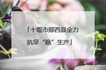 十堰市郧西县全力抗旱“稳”生产