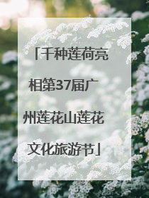 千种莲荷亮相第37届广州莲花山莲花文化旅游节
