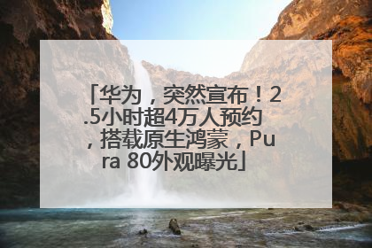华为，突然宣布！2.5小时超4万人预约，搭载原生鸿蒙，Pura 80外观曝光