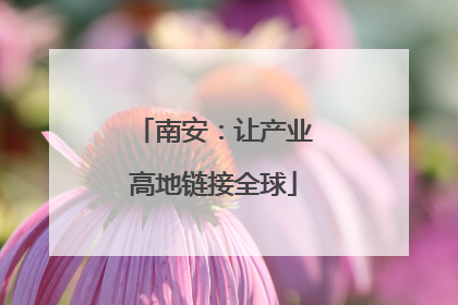 南安：让产业高地链接全球