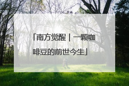 南方觉醒｜一颗咖啡豆的前世今生