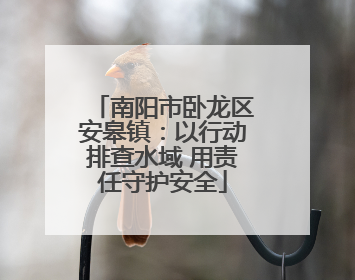 南阳市卧龙区安皋镇：以行动排查水域 用责任守护安全