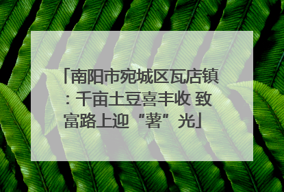 南阳市宛城区瓦店镇：千亩土豆喜丰收 致富路上迎“薯”光