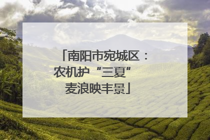 南阳市宛城区：农机护“三夏” 麦浪映丰景