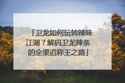 卫龙如何玩转辣味江湖？解码卫龙辣条的全渠道称王之路