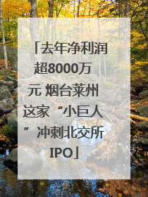 去年净利润超8000万元 烟台莱州这家“小巨人”冲刺北交所IPO