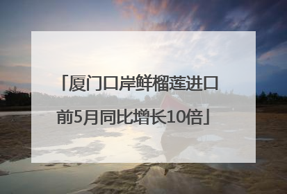 厦门口岸鲜榴莲进口 前5月同比增长10倍