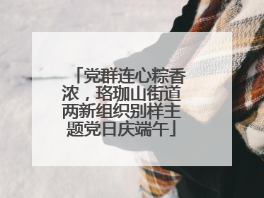 党群连心粽香浓，珞珈山街道两新组织别样主题党日庆端午