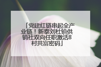 党建红链串起全产业链！新泰刘杜镇供销社双向任职激活8村共富密码