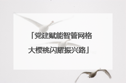 党建赋能智管网格 大樱桃闪耀振兴路