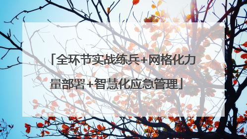 全环节实战练兵+网格化力量部署+智慧化应急管理
