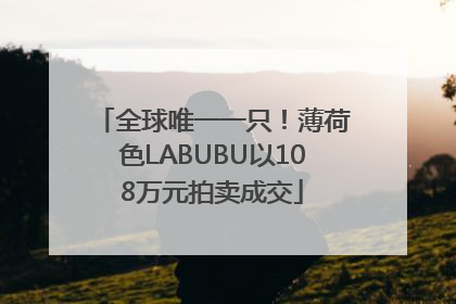 全球唯一一只！薄荷色LABUBU以108万元拍卖成交
