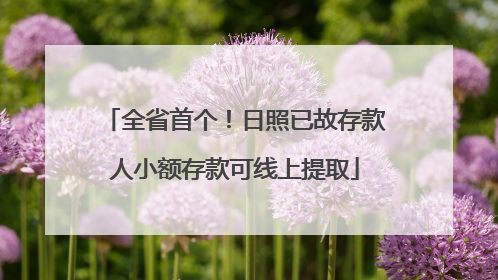 全省首个！日照已故存款人小额存款可线上提取