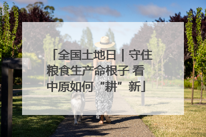 全国土地日｜守住粮食生产命根子 看中原如何“耕”新