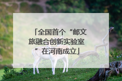 全国首个“邮文旅融合创新实验室”在河南成立