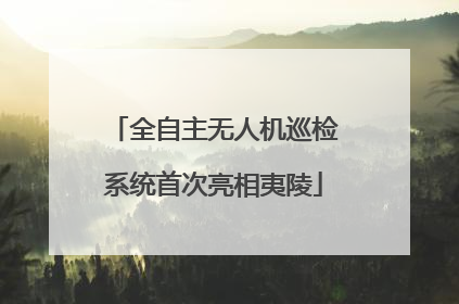 全自主无人机巡检系统首次亮相夷陵