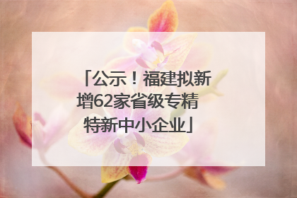 公示！福建拟新增62家省级专精特新中小企业