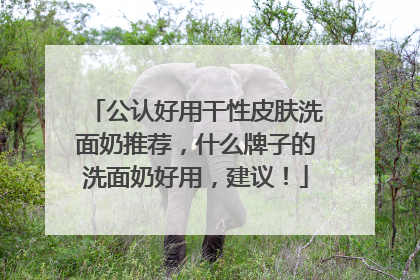 公认好用干性皮肤洗面奶推荐，什么牌子的洗面奶好用，建议！
