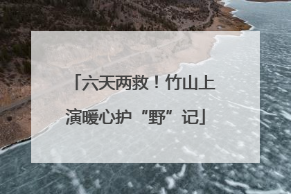 六天两救！竹山上演暖心护“野”记