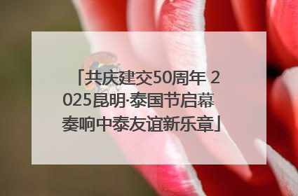 共庆建交50周年 2025昆明·泰国节启幕 奏响中泰友谊新乐章