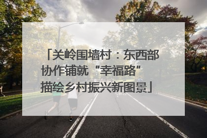 关岭围墙村：东西部协作铺就“幸福路” 描绘乡村振兴新图景