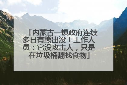 内蒙古一镇政府连续多日有熊出没！工作人员：它没攻击人，只是在垃圾桶翻找食物