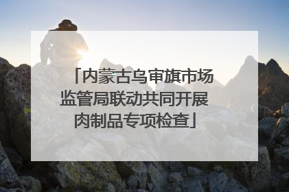 内蒙古乌审旗市场监管局联动共同开展肉制品专项检查