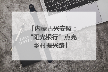 内蒙古兴安盟：“阳光银行”点亮乡村振兴路